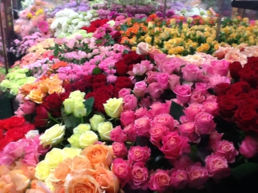 「花のふじせ」　（福岡県春日市）の花屋店舗写真3