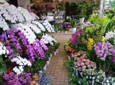 「花のふじせ」　（福岡県春日市）の花屋店舗写真2